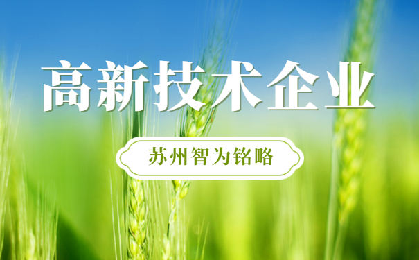 高新技術企業(yè)認定