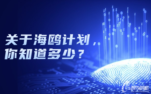 關(guān)于海鷗計劃，你知道多少？.jpg