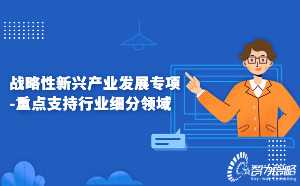 1678843306194088.jpg 戰(zhàn)略性新興產(chǎn)業(yè)發(fā)展專項-重點支持行業(yè)細分領(lǐng)域.jpg