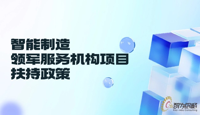 1717377684103917.jpg 智能制造領(lǐng)軍服務(wù)機構(gòu)項目扶持政策.jpg