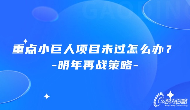 1730339718162672.jpg 重點(diǎn)小巨人項(xiàng)目未過怎么辦?明年再戰(zhàn)策略.jpg