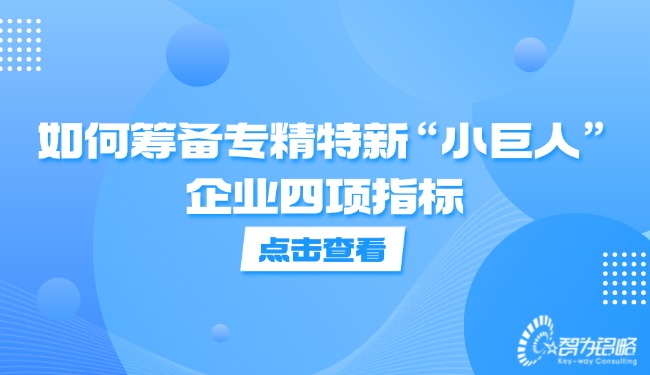 1730855100391368.jpg 如何籌備專精特新“小巨人”企業(yè)四項指標.jpg
