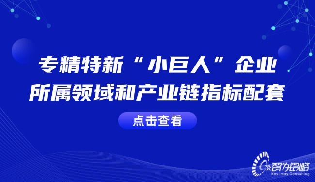 1733187130174554.jpg 專精特新“小巨人”企業(yè)的所屬領(lǐng)域和產(chǎn)業(yè)鏈指標配套.jpg
