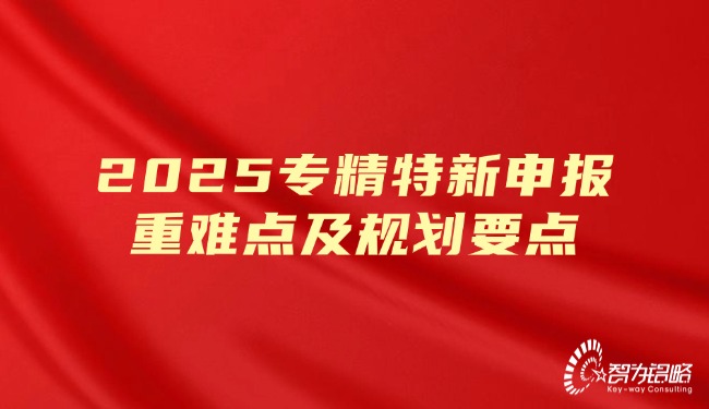 1740099831762240.jpg 2025專精特新申報(bào)重難點(diǎn)及規(guī)劃要點(diǎn).jpg