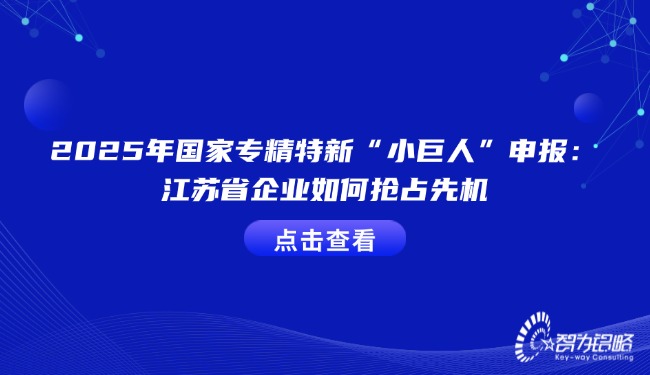 1742174769201783.jpg 2025年國(guó)家專精特新“小巨人”申報(bào):江蘇省企業(yè)如何搶占先機(jī).jpg
