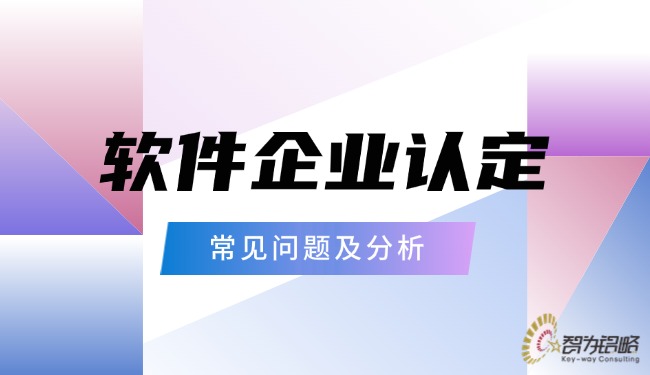 1743992231138129.jpg 軟件企業(yè)認定的常見問題及分析.jpg