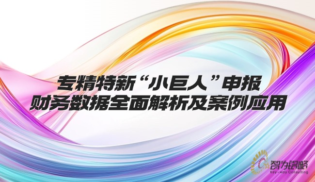 1744599310132726.jpg 專精特新“小巨人”申報財務(wù)數(shù)據(jù)全面解析及案例應(yīng)用.jpg