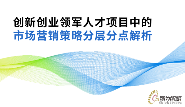 1747704753157280.png 創(chuàng)新創(chuàng)業(yè)領(lǐng)軍人才項目中的市場營銷策略分層分點解析.png