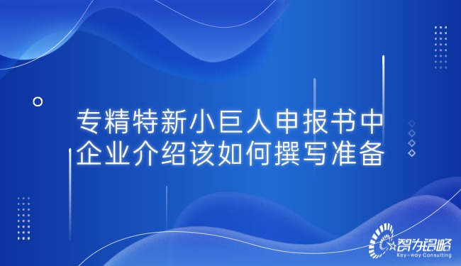 1747789838155955.jpg 專精特新小巨人申報書中的企業(yè)介紹該如何撰寫準(zhǔn)備.jpg
