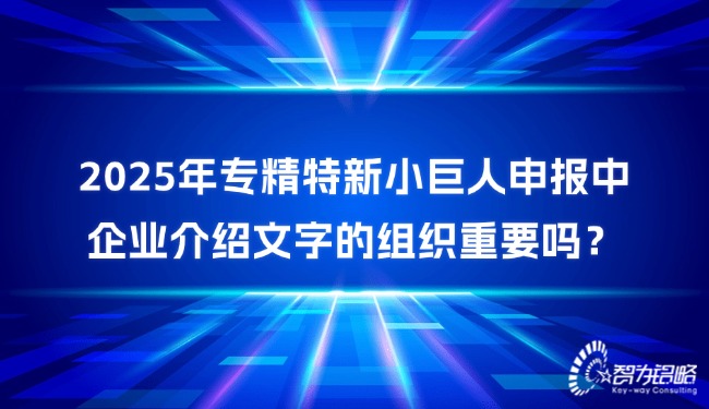 2025年專精特新小巨人申報(bào)中企業(yè)介紹文字的組織重要嗎？.jpg